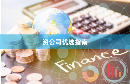 资公司优选指南